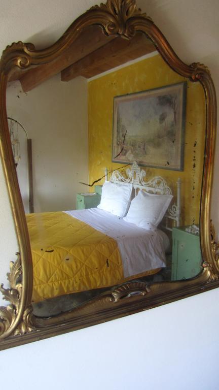 B&B La Zanzara Adria Bagian luar foto