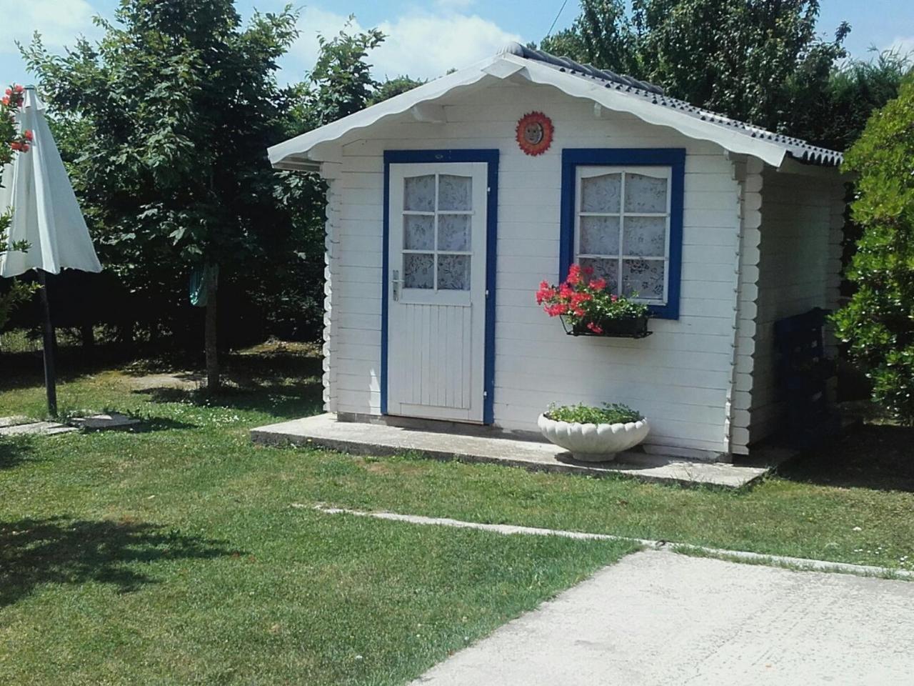B&B La Zanzara Adria Bagian luar foto